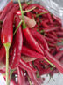 广西小米辣5斤新鲜特辣朝天椒红辣椒辣椒泡椒剁椒小米椒 新鲜小米辣 250g带箱重 实拍图