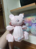 佳奇科技（JAKI）积木拼装泰迪熊模型兼容乐高小颗粒儿童玩具成人男女孩生日礼物 实拍图