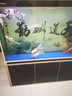 森森鱼缸潜水变色LED水草冒泡七彩灯水族箱造景灯龙鱼防水灯管不红水 森森双排 130cm/22W【蓝白/白色 二选一】 实拍图