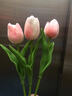 塔洛克（tulloch）郁金香假花仿真花摆设房间卧室客厅家居装饰餐桌摆件干花永生花束 3朵粉白色 实拍图