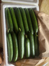 京鲜生山东奶油黄瓜净重1.8斤单果50g+ 小青瓜新鲜蔬菜源头直发 实拍图