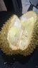 榴小橔泰国进口金枕头榴莲鲜果 巴掌榴莲水果热带金枕榴莲 6-7斤大金枕榴莲（1-2个） 实拍图