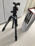 曼富图（Manfrotto）MKBFRTA4GT-BH Befree GT 铝合金反折式四节三脚架球形云台套装旋锁稳定微单单反 承重12kg 实拍图