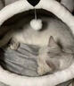 珑小宠猫窝冬天四季通用封闭式猫屋别墅狗窝小型犬加厚猫狗窝猫床猫舍 蛋挞窝灰色L号 实拍图