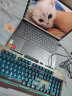 狼蛛（AULA）T101真机械手感键盘鼠标套装 有线键鼠套装 游戏办公电脑键盘 冰蓝光 吃鸡套装 金属面板 黑 实拍图