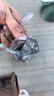 智汇 烧烤架 户外家用大号烧烤炉烤肉工具烧烤炉烤野外用具碳烤炉子 5斤烧烤炭+引燃块+炭夹 标配 实拍图