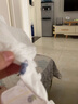 泰迪熊（Teddy Bear）探险家2.0系列纸尿裤/拉拉裤试用装 婴儿尿不湿无痕尿裤体验装 纸尿裤L4片码【推荐16-24斤】 实拍图