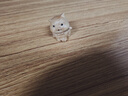崖柏木十二生肖木雕刻守护鼠牛虎兔龙蛇马羊猴鸡狗猪手把件摆件 狗 实拍图
