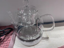 新功（SEKO） 智能全自动底部上水电热水壶烧水壶喷淋煮茶器养生电茶壶普洱壶 W19 0.8L 多功能养生电水壶 实拍图