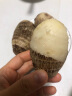 家美舒达山东农特产 牛奶小芋头 约1kg 毛芋头 芋艿 无泥沙净果 新鲜蔬菜 实拍图