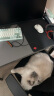 CHERRY樱桃（CHERRY）鼠标垫大中小号桌面垫游戏电竞办公橡胶防滑锁边鼠标垫子电脑桌垫 细面 444*355*4mm 鼠标垫 实拍图