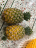 沃鲜谷【顺丰】芒果凤梨 树上熟 非金钻凤梨菠萝  香甜多汁 新鲜水果 4-4.5斤 大果2个 实拍图