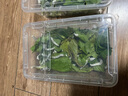 沃绣 蚕宝宝当天发货 蚕宝宝活体蚕卵小蚕彩色蚕桑叶新鲜桑叶养蚕套装 学生天然彩色蚕套装 实拍图