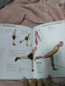 肌肉训练完全图解 全4册 力量与体能训练+拉伸训练+核心性训练+功能性训练 运动减肥书 实拍图