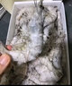 一虾一世界新鲜海捕大虾 青虾小白对虾基围虾羊毛虾 鲜活冷冻 烧烤火锅食材 40/50规格 4斤(净重)  【含15%冰】 实拍图