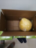 柚小甜 福建平和琯溪 精选特级红肉蜜柚 红心柚子 2粒装 净重约3-3.5kg 新生鲜水果 礼盒装 实拍图