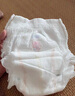 【阿狸联名款】婴舒宝（Insoftb）阿狸系列 轻柔薄款丝滑拉拉裤 透气学步裤 尿不湿 成长裤训练裤 XXL38片*2包【15kg以上】 实拍图