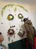 饰部落 田园风格仿真植物壁挂装饰墙壁挂饰幼儿园环创教室挂饰民宿餐厅创意仿真植物壁挂墙上挂件 组合套餐二 实拍图