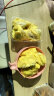沂蒙花果山榴莲泰国进口金枕头鲜果带壳树熟榴莲A果 4-5斤个1个装 实拍图
