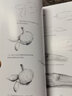 儿童学画起步丛书：素描  实拍图