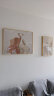 集简季侘寂风大象肌理客厅装饰画抽象艺术壁画沙发背景墙挂画 向阳福象 晒单实拍图