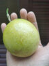 卡布诺海南黄金百香果甜种钦蜜9号黄色百香果特大鸡蛋果新鲜应季水果 5斤特大果礼盒装【礼盒】单果90g+ 实拍图