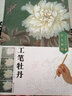 墨点 工笔技法解析与原大画稿手绘工笔画牡丹入门基础教程书工笔荷花成人初学者勾线笔白描技法教材 实拍图