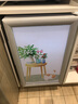 穗凌（SUILING）冰柜酒柜展示柜单门小型玻璃门冷藏保鲜柜办公室保鲜柜饮料柜饭店食品留样柜 实拍图
