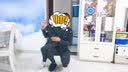 锐特斯丁儿童紧身衣长袖田径训练跑步服速干衣秋季冬季篮球足球打底衫套装 全黑四件套 24码120-130cm 25-30kg 实拍图