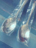 广意 316L不锈钢勺子 家用加大汤勺调羹吃饭餐勺汤匙圆勺2支装GY7657 实拍图