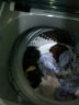 小天鹅（LittleSwan）波轮洗衣机全自动 直驱变频 8公斤大容量 免清洗不脏桶 租房神器 以旧换新 TB80V23DB 实拍图