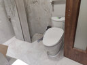 科勒（KOHLER） 坐便器大小户型普通虹吸式家用马桶抽水防臭大冲力厕所5171 305坑距艾黛儿连体马桶+智能盖板 实拍图
