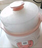 LOTOR徕多电炖锅全自动煲汤煮粥神器燕窝隔水炖锅迷你宝宝婴儿辅食锅电炖盅慢炖锅 白色标准款 1L 实拍图
