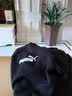 彪马（PUMA）短袖男 2026夏季新款休闲运动健身训练上衣快干透气半袖圆领T恤男 【主推款】黑色/DRYCELL科技/吸湿速干 M 175【推荐体重120-140斤】 实拍图