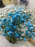 爱满（AIMAN） 鲜花真花天然满天星花束真花客厅家居装饰店面摆设小清新风花束 蓝白满天星 含报纸+丝带 实拍图