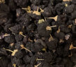 杞硕母亲节礼物礼盒青海黑枸杞子礼盒送长辈观云系列20g*12罐滋补礼物 实拍图