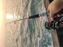 伊酷达（ECOODA）飞影四代近海船钓竿 50/80/120号小船竿放流底钓杆拖钓新手海钓竿 2.28m 100号 远征直柄负荷80-150# 实拍图