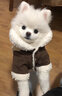 憨憨宠宠物狗狗衣服小狗衣服中小型犬秋泰迪衣服冬季加厚衣服四脚棉衣 好朋友灯芯绒背带裤 S号建议体重4-6斤 实拍图