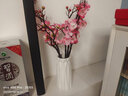 凉笙 仿真花梅花客厅腊梅套装假花家居摆件书房装饰盆栽花艺套装 5支粉色梅花+淑女小号白色花瓶 实拍图