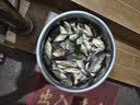 SIMAGO喜曼多成品线组青鱼鲟鱼草鱼巨物加固钓鱼线大物主线组5.4米8号 实拍图