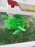 水族箱鱼池鱼缸水草箱造景仿真水草 人物假山珊瑚贝壳假鱼水草塑料水草 仿真植物 鱼缸布景 CL44七指草绿色 高40CM 实拍图
