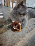 华元宠具Hoopet猫咪磨牙棒自嗨解闷木天蓼猫薄荷球磨牙猫玩具小猫逗猫棒 【单个】木天蓼玲珑球-薄荷球L 实拍图