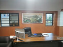 盛桢泰山国画山水画靠山图客厅风景挂画办公室沙发背景墙装饰画风水画 鸿运当头【A款】 四尺165*85cm(实木框+有机玻璃) 实拍图