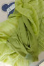 lagogo拉谷谷多巴胺修身显瘦短袖腰带高级感夏季新款气质连衣裙女 青绿色（L9） 160/M/38 晒单实拍图