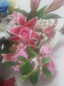 苏茂 仿真玫瑰花落地假花客厅摆放花卉绢花仿真花束装饰花 3D百合 粉色1米高 实拍图