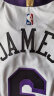 NIKE耐克NBA官方洛杉矶湖人队詹姆斯ADV男子球衣篮球服运动背心DQ0198 湖人队/詹姆斯 XL 晒单实拍图
