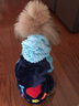 宠物圈（PETCIRCLE）秋季冬季狗狗衣服泰迪衣服宠物服饰狗衣服宠物泰迪狗狗衣服小型犬 爱心款蓝色 M适合背长33CM胸围45CM重8-10斤 实拍图