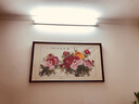 飞利浦t8日光灯节能支架全套超亮1.2米单管双管带反光罩家居工厂超市灯 1.2米单管灯架不带反光罩含LED16W 实拍图