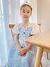 蓓然美灰姑娘公主裙秋爱莎连衣裙艾莎爱丽丝生日礼服儿童公主裙演出服 灰姑娘A 120 实拍图