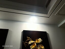 雷士（NVC）LED筒灯客厅过道嵌入式天花灯商用大功率12瓦PP漆白正白-绿色家居 实拍图